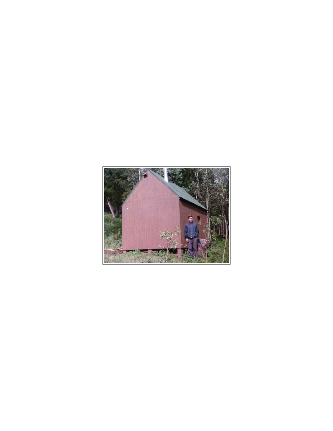 TED SHED STICKER