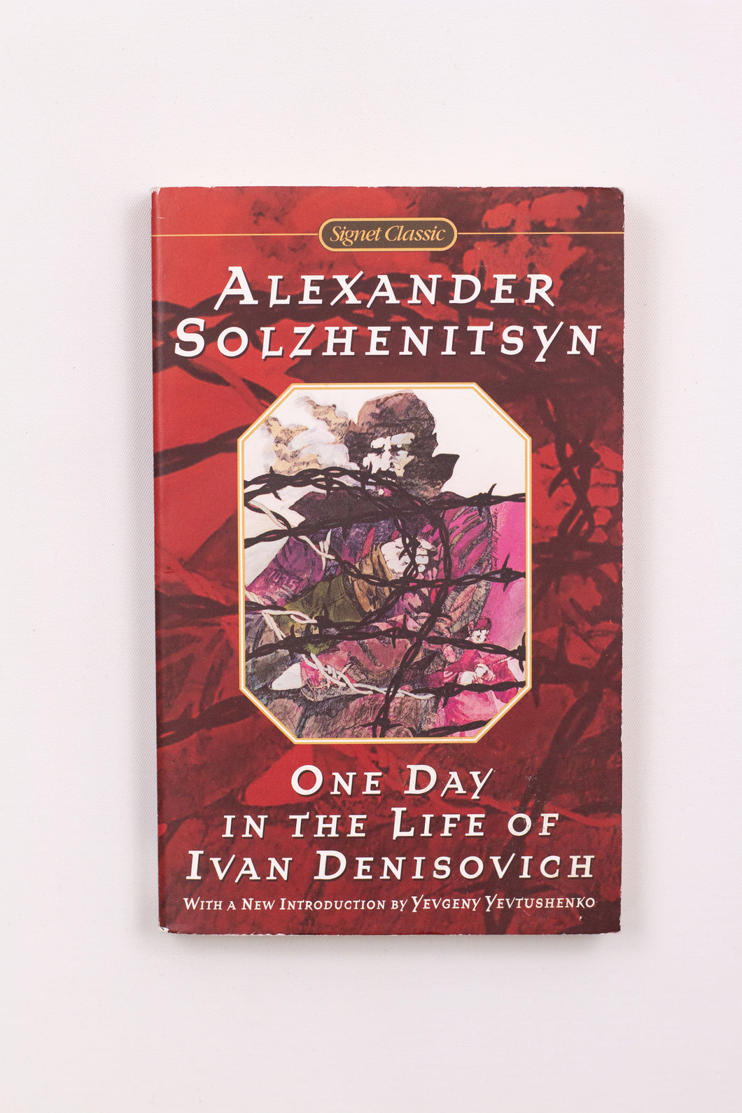 ONE DAY IN THE LIFE OF IVAN DENISOVICH BOOK