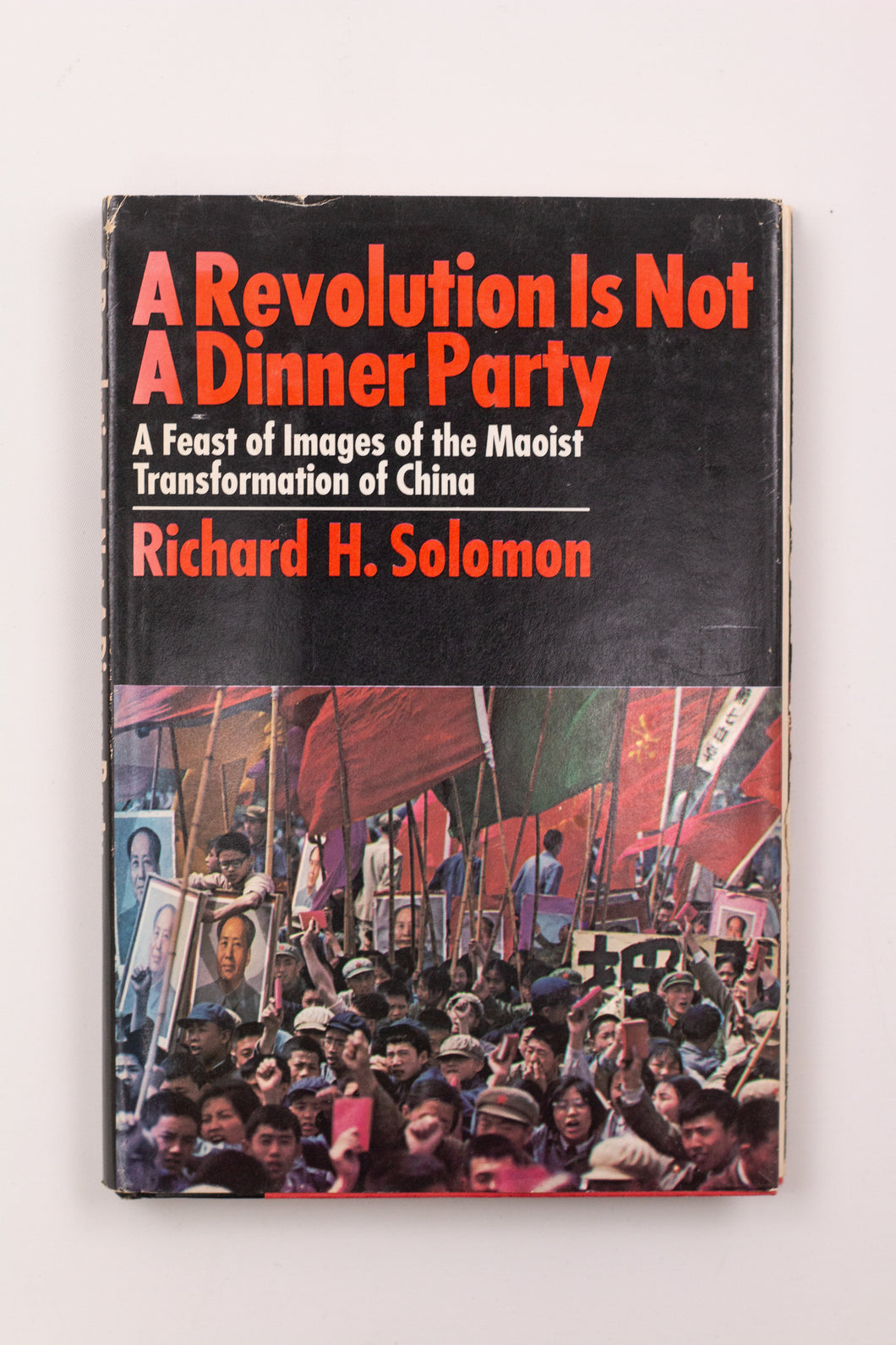 A REVOLUTION IS NOT A DINNER PARTY BOOK