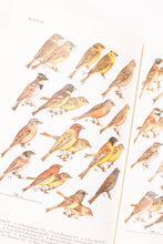 A FIELD GUIDE TO BIRDS OF THE USSR