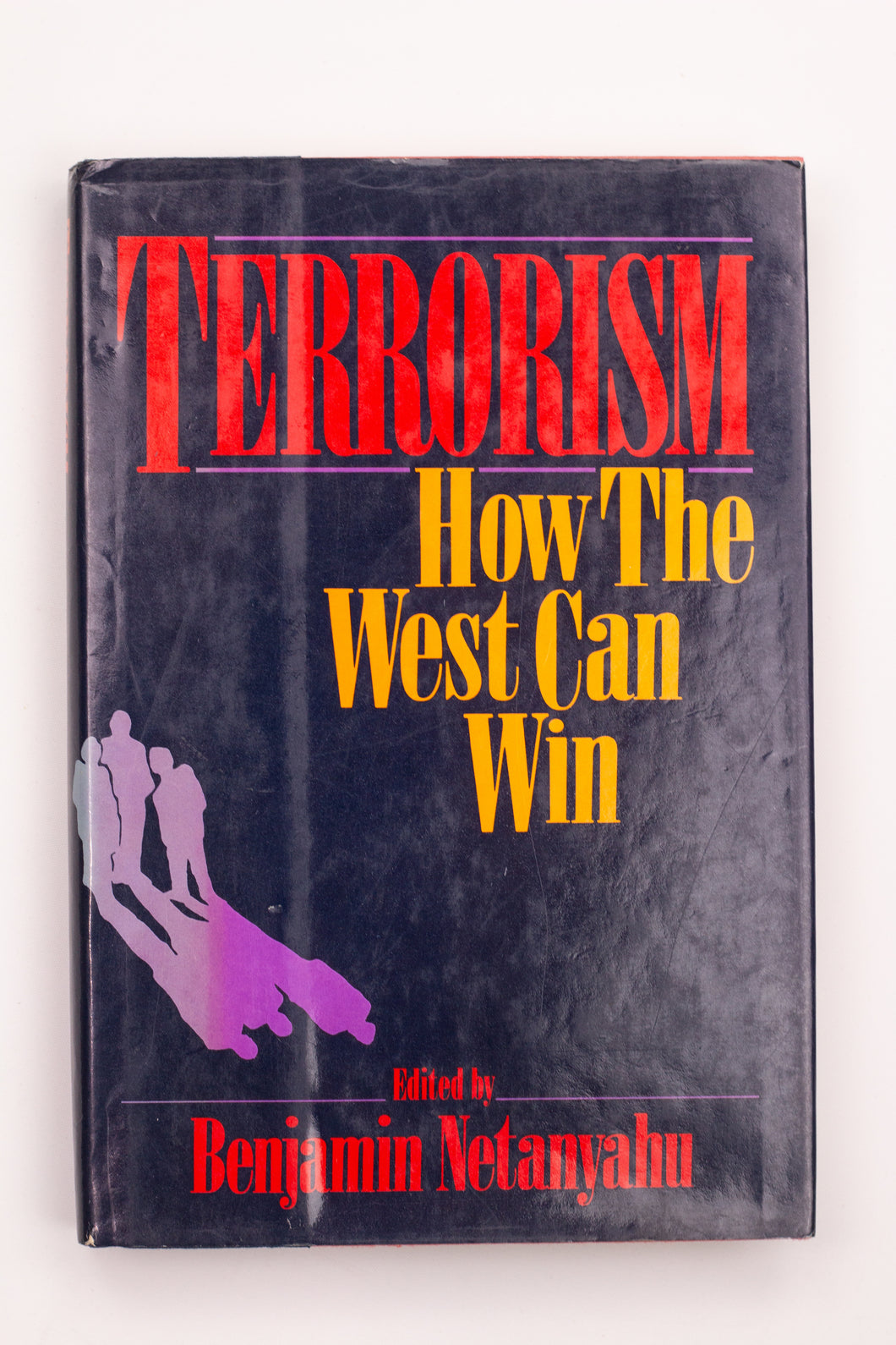 TERRORISM: HOW THE WEST CAN WIN BOOK