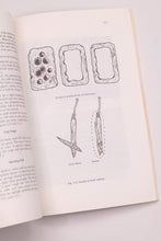 OUTDOOR SURVIVAL SKILLS BOOK
