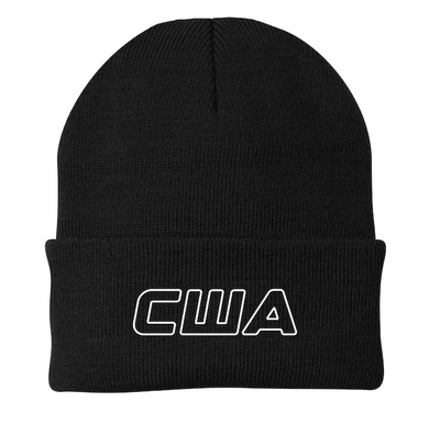 USA BEANIE