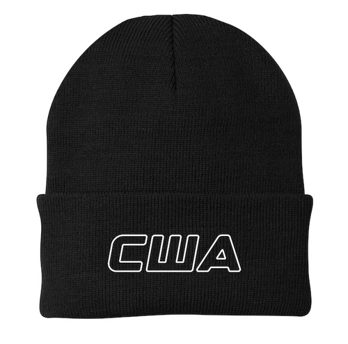 USA BEANIE
