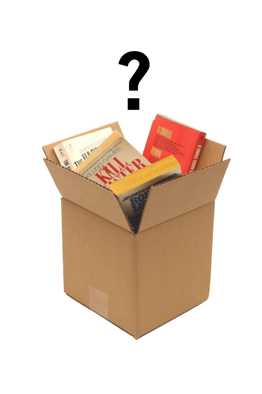 MILITARY NON-FICTION MYSTERY BOOK BOX